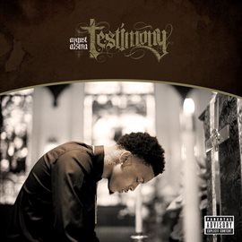 Imagen de portada para Testimony