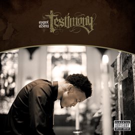 Cover image for Testimony