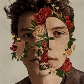 Cover image for Shawn Mendes