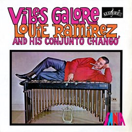 Cover image for Vibes Galore