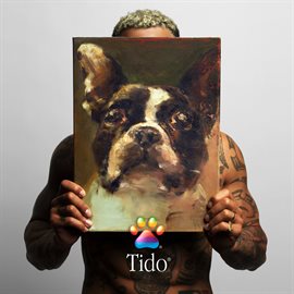 Cover image for Tido