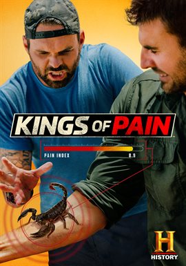 Cover image for Big Box of Pain