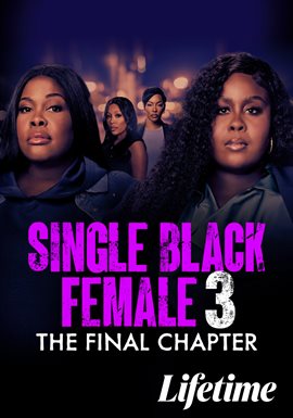 Imagen de portada para Single Black Female 3: The Final Chapter