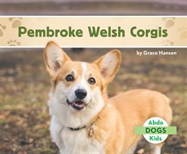 Pembroke Welsh Corgi Dogs  Breed Appearance, Personality & History