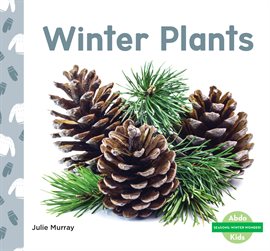 Cover image for Winter Plants