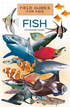 Cover image for Fish