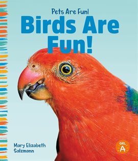 Imagen de portada para Birds Are Fun!
