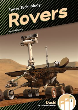 Cover image for Rovers