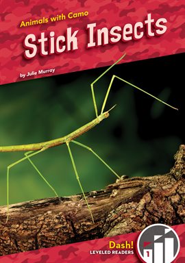 Cover image for Stick Insects