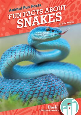 Cover image for Fun Facts About Snakes