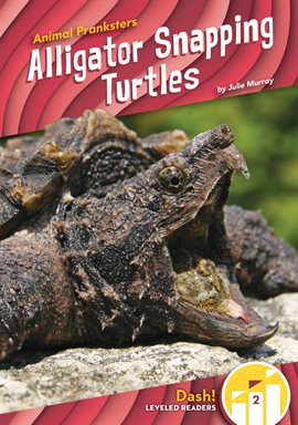 Cover image for Alligator Snapping Turtles