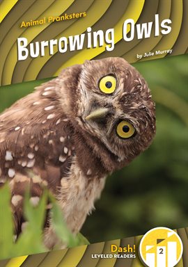 Cover image for Burrowing Owls