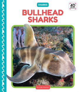 Cover image for Bullhead Sharks