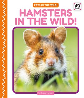 Cover image for Hamsters in the Wild!