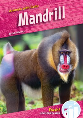 Imagen de portada para Mandrill