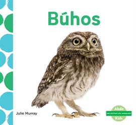 Cover image for Búhos
