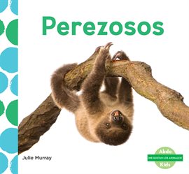 Cover image for Perezosos
