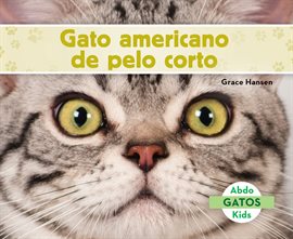 Cover image for Gato Americano De Pelo Corto