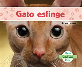 Cover image for Gato Esfinge