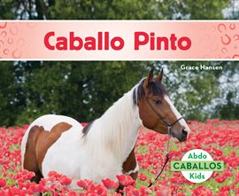 Cover image for Caballo Pinto
