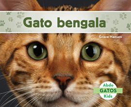 Cover image for Gato bengala (Bengal Cats)