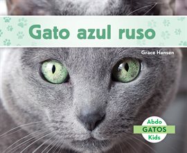 Cover image for Gato azul ruso (Russian Blue Cats)