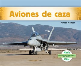 Cover image for Aviones de caza (Military Fighter Aircraft)