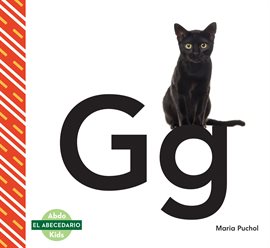 Imagen de portada para Gg