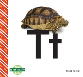 Imagen de portada para Tt