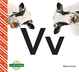 Imagen de portada para Vv