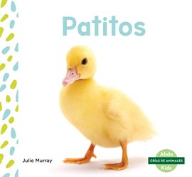 Cover image for Patitos (Ducklings)