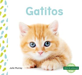Cover image for Gatitos (Kittens)