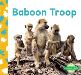 Cover image for Baboon Troop