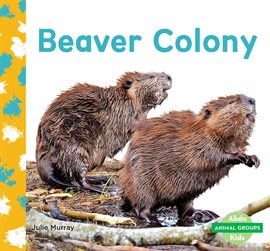 Cover image for Beaver Colony