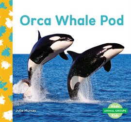 Cover image for Orca Whale Pod