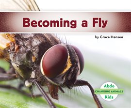 Cover image for Becoming a Fly