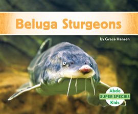 Cover image for Beluga Sturgeons