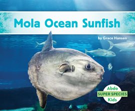 Cover image for Mola Ocean Sunfish
