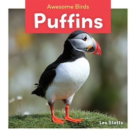 Cover image for Puffins