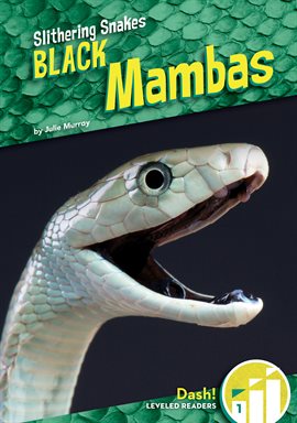 Cover image for Black Mambas