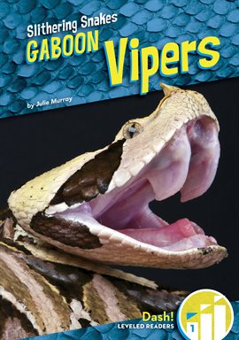 Cover image for Gaboon Vipers