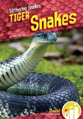 Cover image for Tiger Snakes