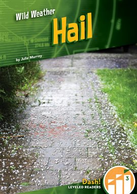 Cover image for Hail