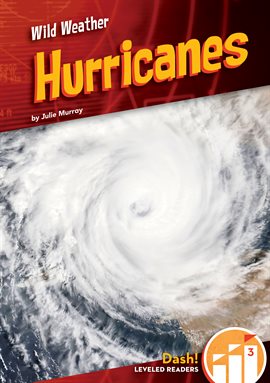 Cover image for Hurricanes