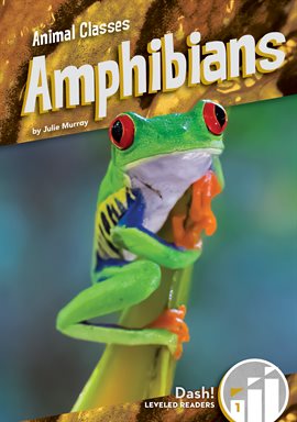 Cover image for Amphibians