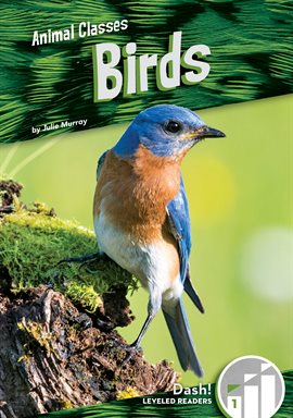 Cover image for Birds