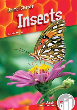 Cover image for Insects