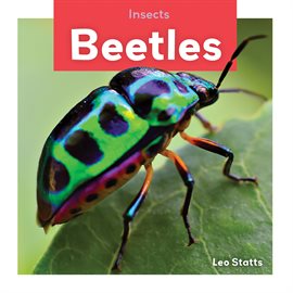 Cover image for Beetles