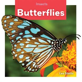 Cover image for Butterflies
