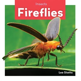 Cover image for Fireflies